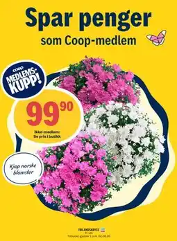 Coop Prix FRILANDSKRYSS, Medlemspris tilbud