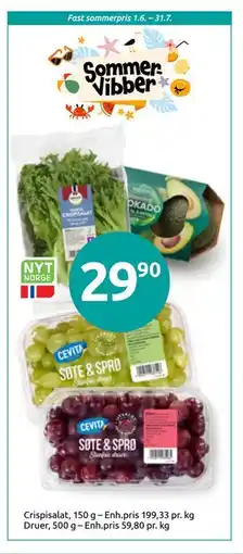 Joker Sommer Vibber tilbud