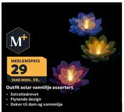 Megaflis Outfit solar vannlilje assortert tilbud