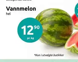 Joker Vannmelon tilbud