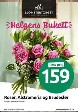 Joker Roser, Alstromeria og Brudeslør tilbud