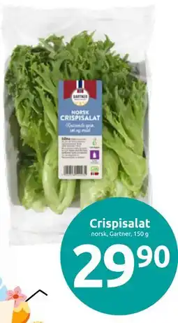 Joker Crispisalat tilbud