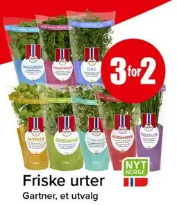 Spar Friske urter tilbud