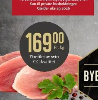 Ytrefilet av svin CC-kvalitet