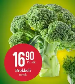 CC Mat Brokkoli norsk tilbud