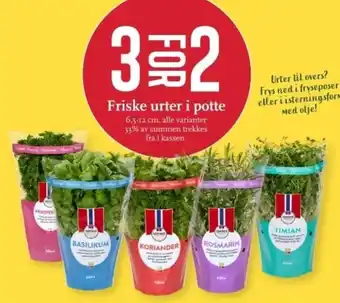 CC Mat Friske urter i potte tilbud