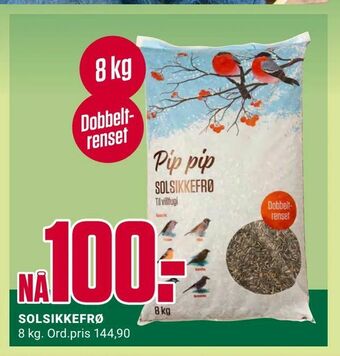 Europris Solsikkefrø tilbud