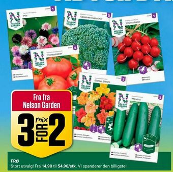 Europris Frø fra Nelson Garden tilbud