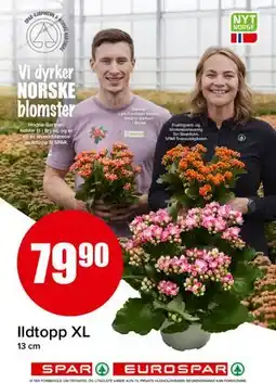 Spar Ildtopp XL tilbud