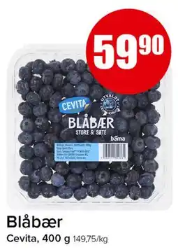 Spar Blåbær tilbud