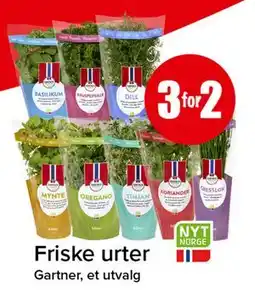 Spar Friske urter tilbud