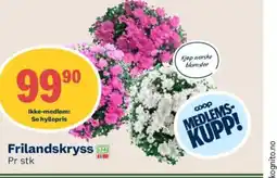 Coop Mega Frilandskryss tilbud