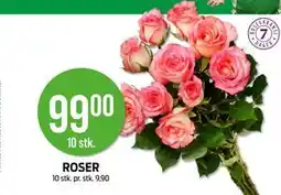 Kiwi ROSER tilbud