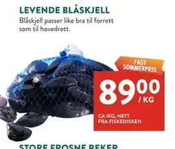 Jacobs LEVENDE BLÅSKJELL tilbud