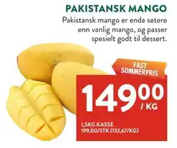 Jacobs PAKISTANSK MANGO tilbud