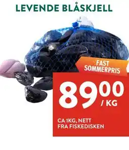 Jacobs LEVENDE BLÅSKJELL tilbud