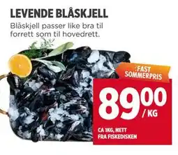 Meny LEVENDE BLÅSKJELL tilbud