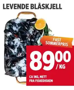 Meny LEVENDE BLÅSKJELL tilbud