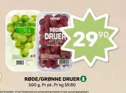 Matkroken RØDE/GRØNNE DRUER tilbud
