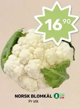 Matkroken NORSK BLOMKÅL tilbud