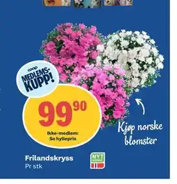Coop Obs Frilandskryss, Medlemspris tilbud