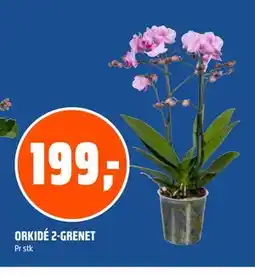 Coop Obs ORKIDÉ 2-GRENET tilbud