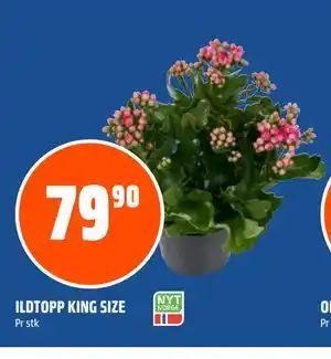 Coop Obs ILDTOPP KING SIZE tilbud