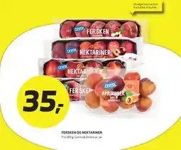 Bunnpris FERSKEN OG NEKTARINER tilbud