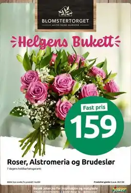 Joker Roser, Alstromeria og Brudeslør tilbud