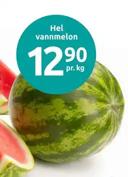 Joker Hel vannmelon tilbud