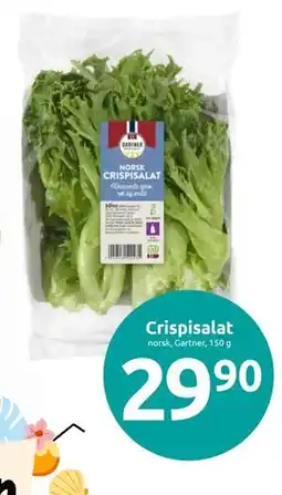 Joker Crispisalat tilbud
