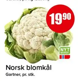 Spar Norsk blomkål tilbud