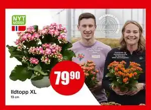 Spar Ildtopp XL tilbud