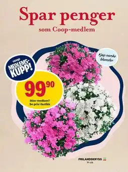 Coop Marked FRILANDSKRYSS, Medlemspris tilbud