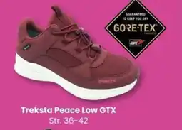 Sport Outlet Treksta Peace Low GTX tilbud