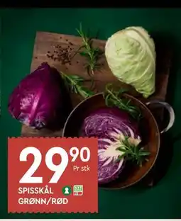 Coop Mega SPISSKÅL GRØNN/RØD tilbud
