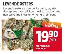 Meny LEVENDE ØSTERS tilbud