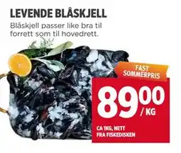 Meny LEVENDE BLÅSKJELL tilbud