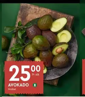 Coop Mega AVOKADO tilbud