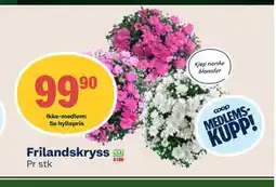 Coop Mega Frilandskryss, Medlemspris tilbud