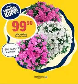 Coop Prix FRILANDSKRYSS, Medlemspris tilbud