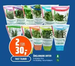 Coop Obs ÄNGLAMARK URTER tilbud