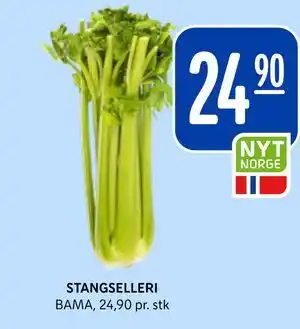Rema 1000 STANGSELLERI tilbud