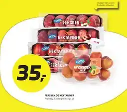 Bunnpris FERSKEN OG NEKTARINER tilbud