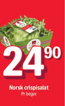 Coop Extra Norsk crispisalat tilbud