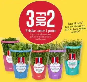 CC Mat Friske urter i potte tilbud