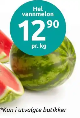 Joker Hel vannmelon tilbud