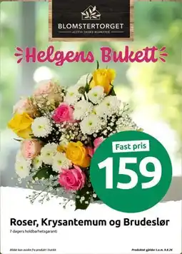Joker Roser, Krysantemum og Brudeslør tilbud