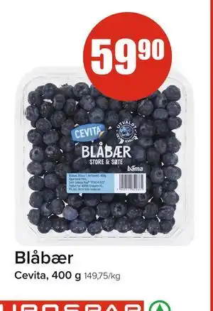 Spar Blåbær tilbud