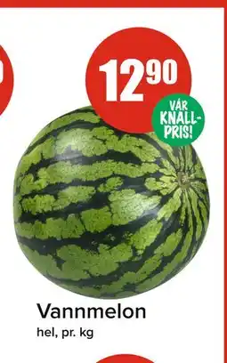 Spar Vannmelon tilbud